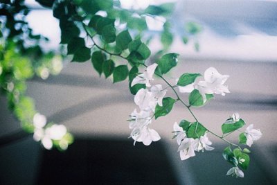 ​关于温暖幸福的句子(精选63句)