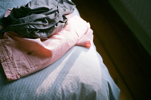 描写赞美梅花的句子20句