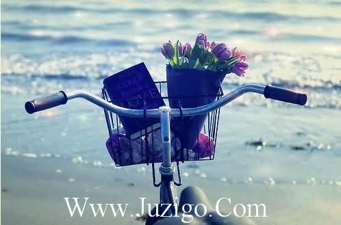 2023谷雨唯美文案10字左右整理77句