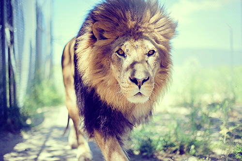 很短但深入人心的句子100句