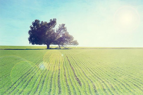 表示对某人心寒的句子83句