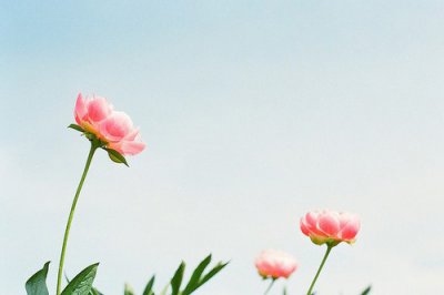 ​感谢母亲的话简短12字感恩母亲的短语句子(49句)