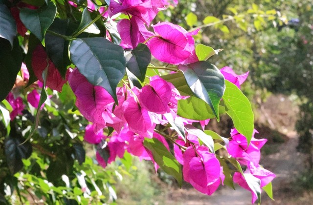 干净好听的昵称3个字男生 干净好听的昵称3个字男生