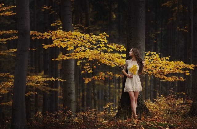 忧伤的四字网名(共1475个) 忧伤的四字网名(共1475个)