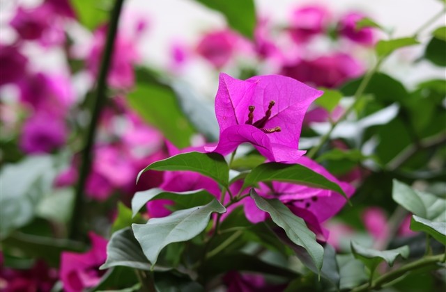 2023最新昵称最好听的网名(优选1433个)