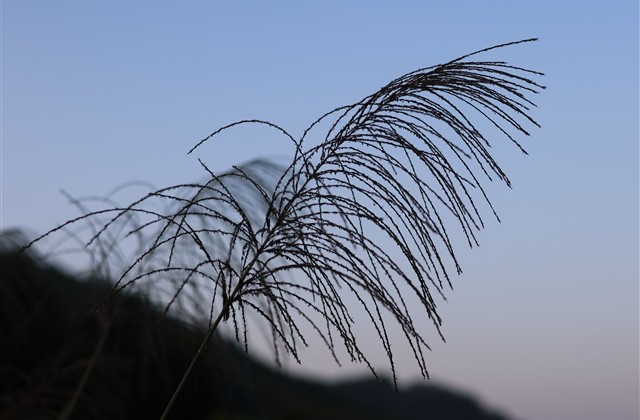 优美的情侣游戏网名(精选262个)