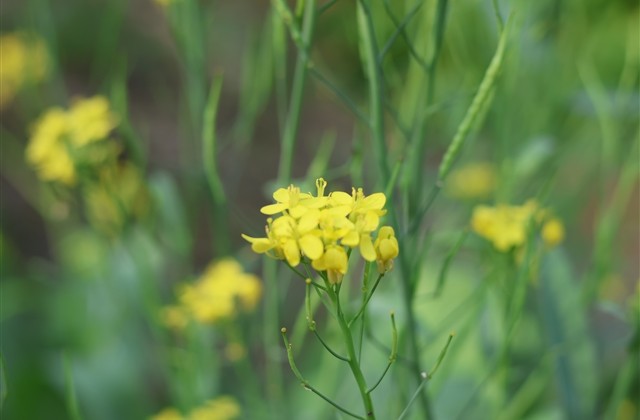 时尚唯美霸气女生网名(共452个)