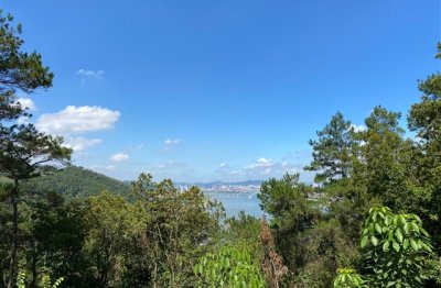 ​神雕侠侣2好听的游戏名字(453个)