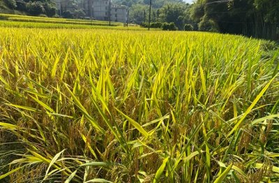 ​很酷的男生微信名字