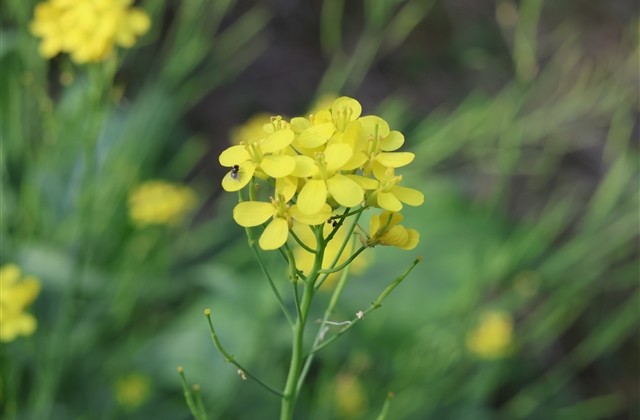 让运气越来越好的网名(优选160个)