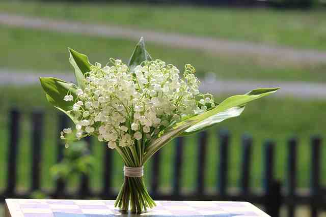 教师节祝福语简单短句一段话