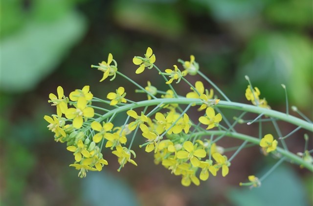 淡淡的忧伤二字网名(901个) 淡淡的忧伤二字网名(901个)