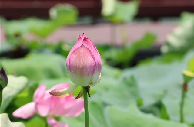 昵称女霸气高冷最火网名(优选586个)