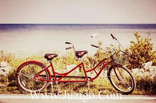 简单的性签名87句