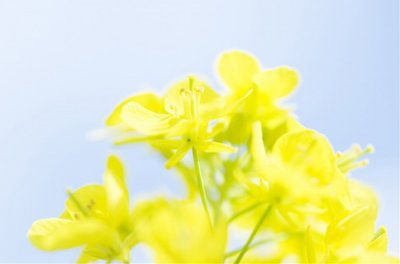 ​国庆节微信80句