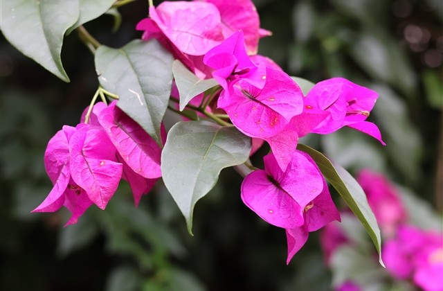 王者情侣名字大全最甜沙雕