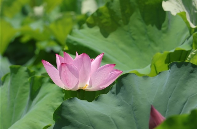 痴情男孩的痴梦qq网名(精选317个)