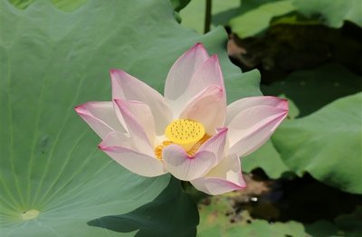 ​伤感到让人想哭的网名