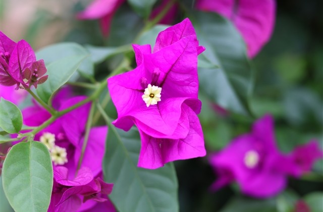 2023抖音名字叫什么带来财运好(共281个) 2023抖音名字叫什么带来财运好(共281个)