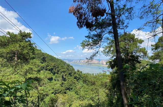 一看就比较菜的游戏id(优选259个) 一看就比较菜的游戏id(优选259个)