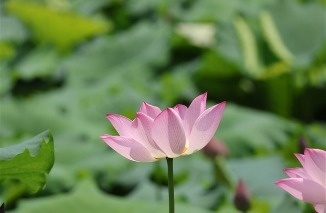 有内涵有诗意的微信网名(精选279个) 有内涵有诗意的微信网名(精选279个)