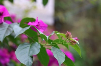 ​最新周杰伦歌词伤感网名精选(优选166个)