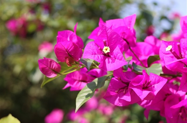 好听超长的古风网名(142个) 好听超长的古风网名(142个)