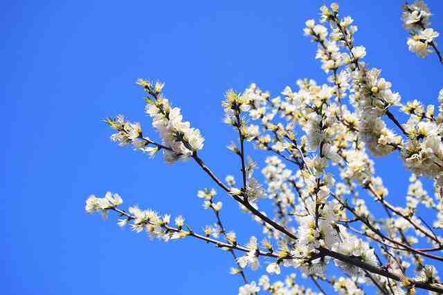 表达爱国情怀的古句子(精选83句)