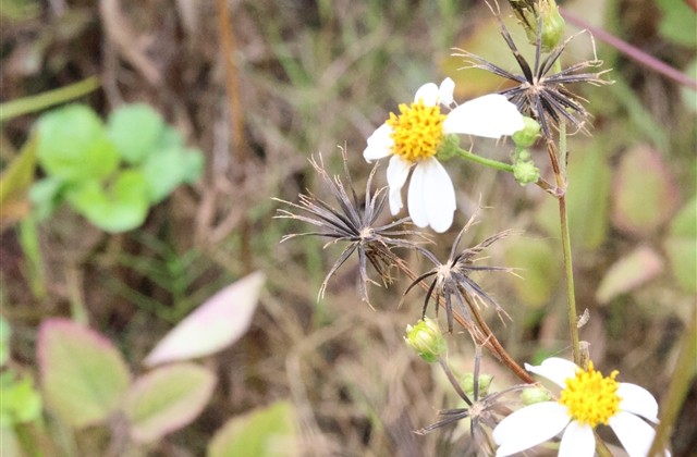 女生伤感微信名字 昵称