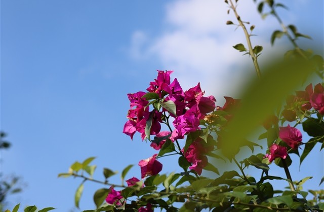 淘宝昵称简短好听(精选177个)