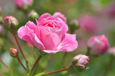 ​苍凉的唯美句子 看尽世间繁华唯美句子