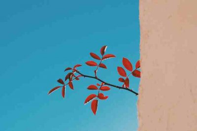 ​爱从来不是清浅的，那里面有成全