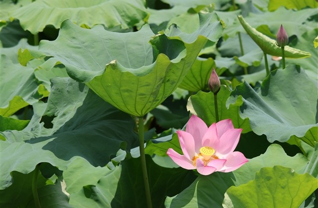 幽默有趣的游戏ID(精选177个)