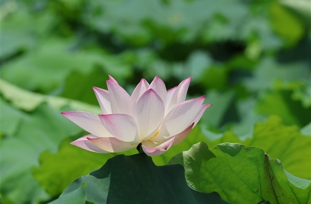 qq仙侠传好听游戏名字(186个)