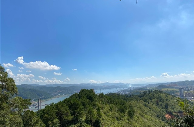 男女通用的悲伤网名(161个)