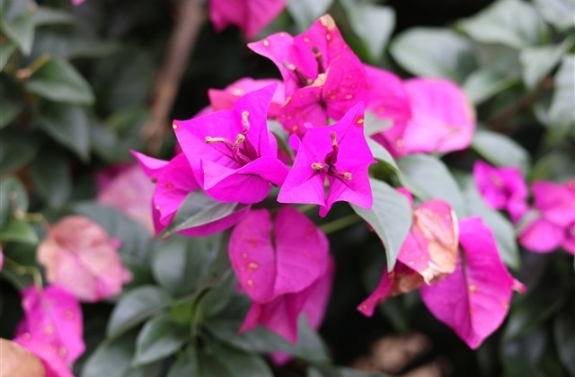 毕业季伤感qq个性网名(166个)