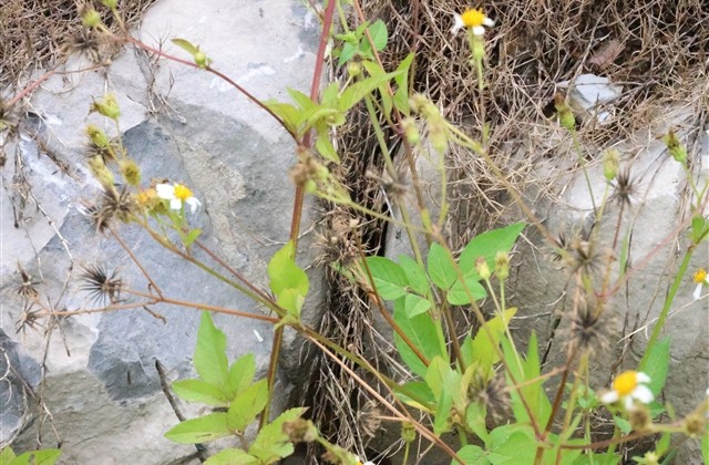 温柔到骨子里的昵称(共174个)