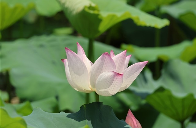 四个字好听的游戏名字