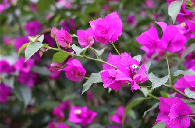 游戏开黑名字大全3人 游戏开黑名字大全3人