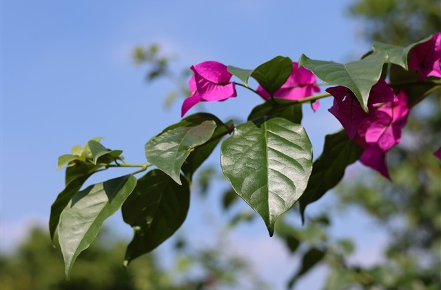 dnf男格斗好听的名字(优选146个)