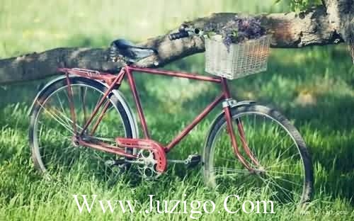 鼓励人加油的话简短人生不顺时鼓励的话(精选26句)