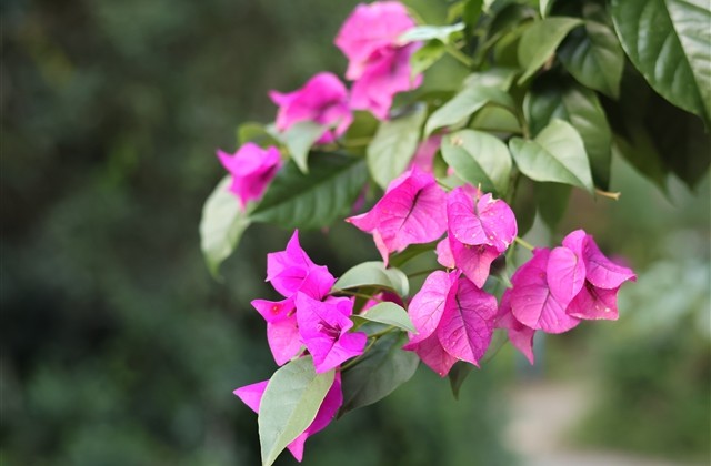 少见稀有的一字网名(精选115个)