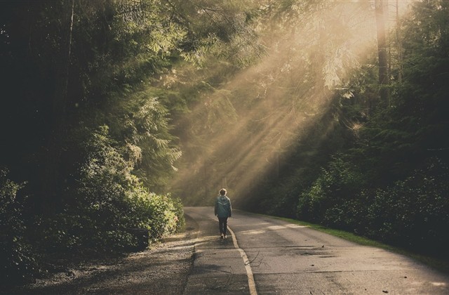 好听的英文昵称女生唯美