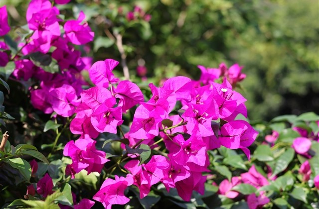 好听比较长的网名 好听又长的昵称