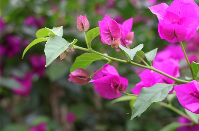 带符号名字大全(83个)