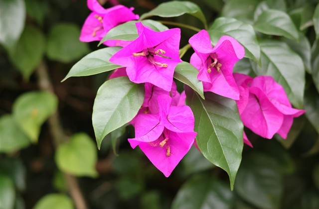 亡灵术士搞笑名字(101个)