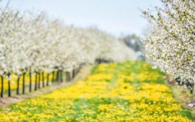 ​安慰事业疲惫压力大的男人句子 男人压力大安慰的句子说说心情