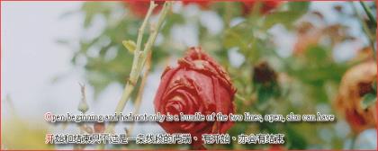 森系文艺范意境个性签名