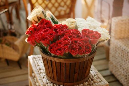 森系文艺范意境个性签名