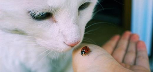 轮船上观海歇后语